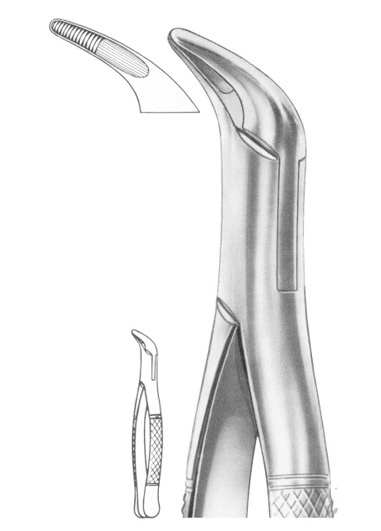 TS-1251