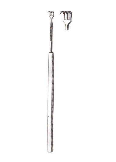 TS-2441