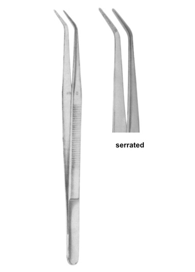 TS-2339