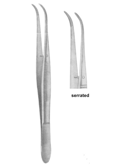 TS-2351