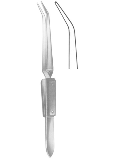 TS-2368