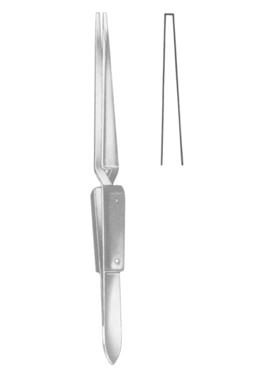 TS-2369